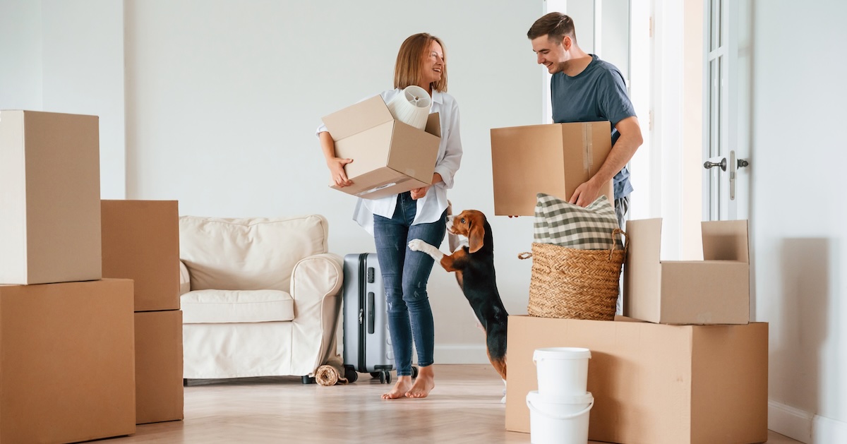 What is a Pet Deposit? Lemonade Renters