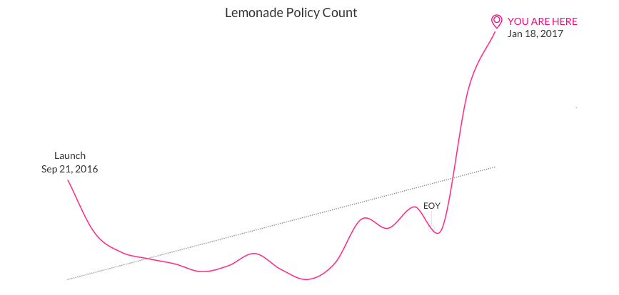 Lemonade Insurance Policy Count - 2017