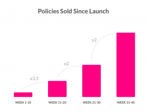 lemonade policies sold since launch