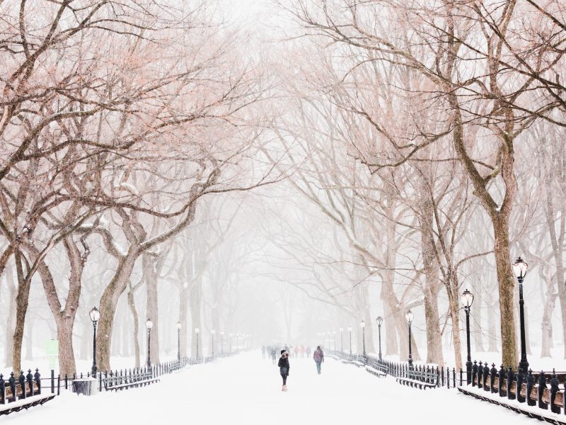 winter storm central park - nyc