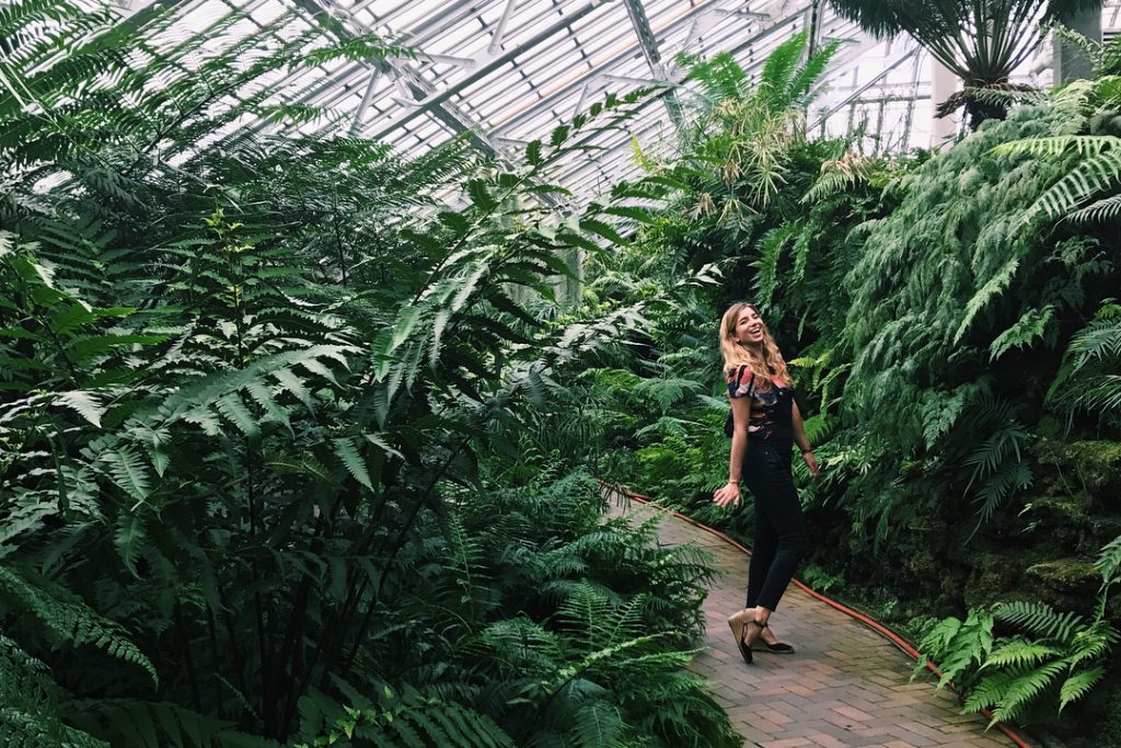 Garfield Park Conservatory - Chicago City Guide