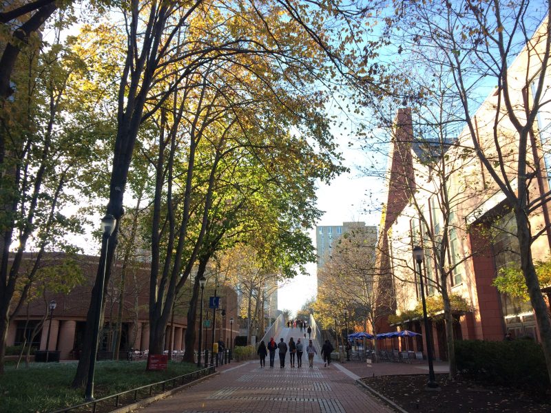 Locust Walk - Lemonade Philly Guide