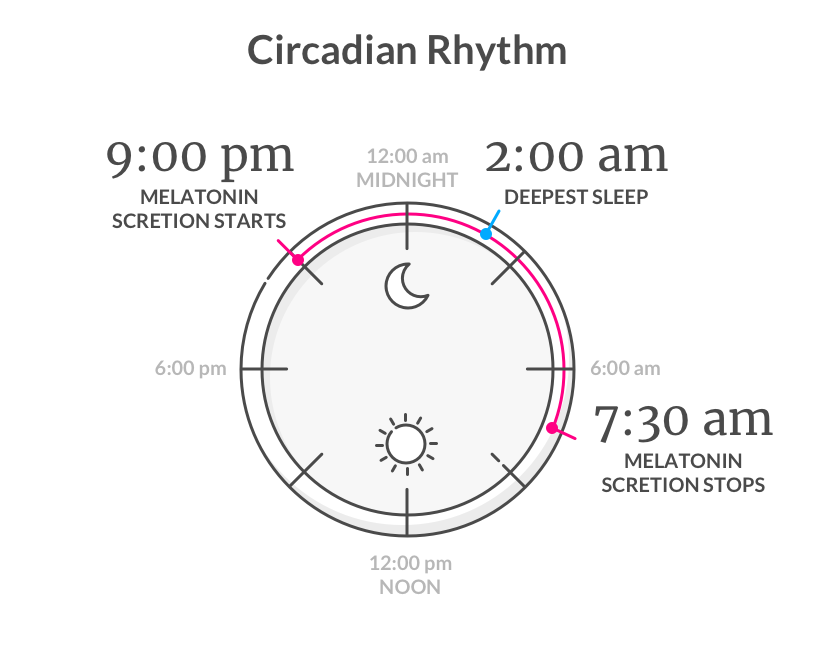 Circadian Rhythm - Lemonade Blog