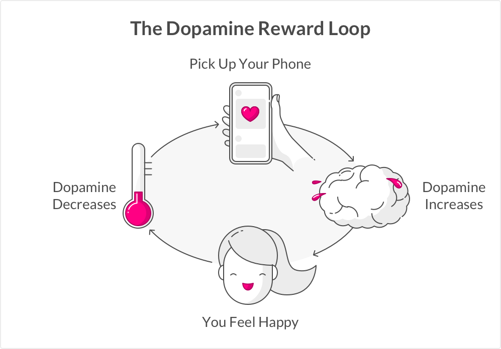 Increases and Decreases in Dopamine - Reward Loop