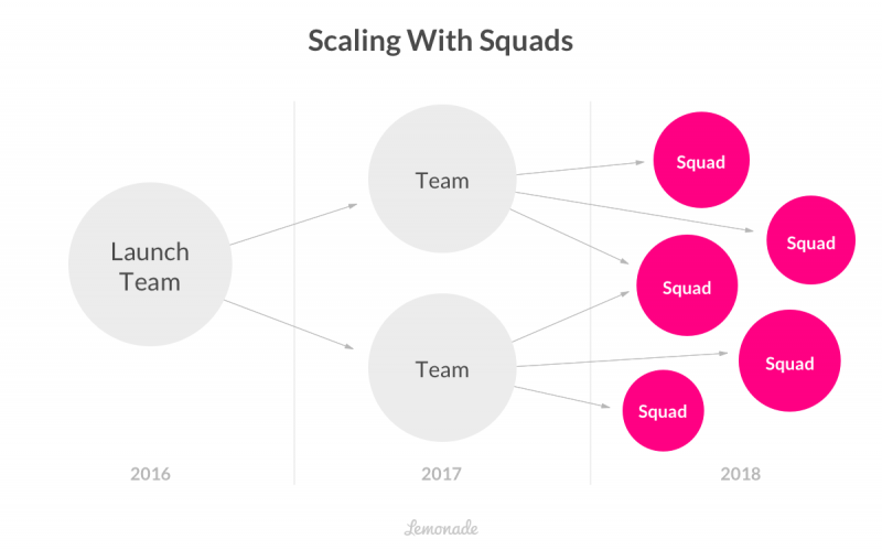 Lemonade's Organizational Structure