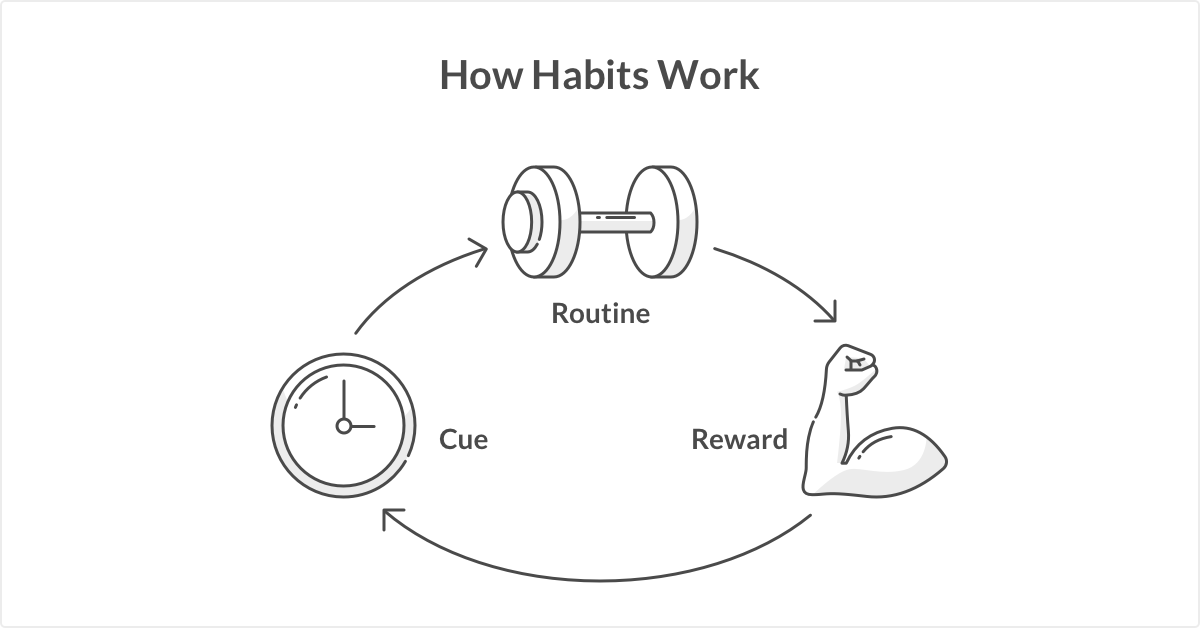 How Habits Work - Lemonade Blog