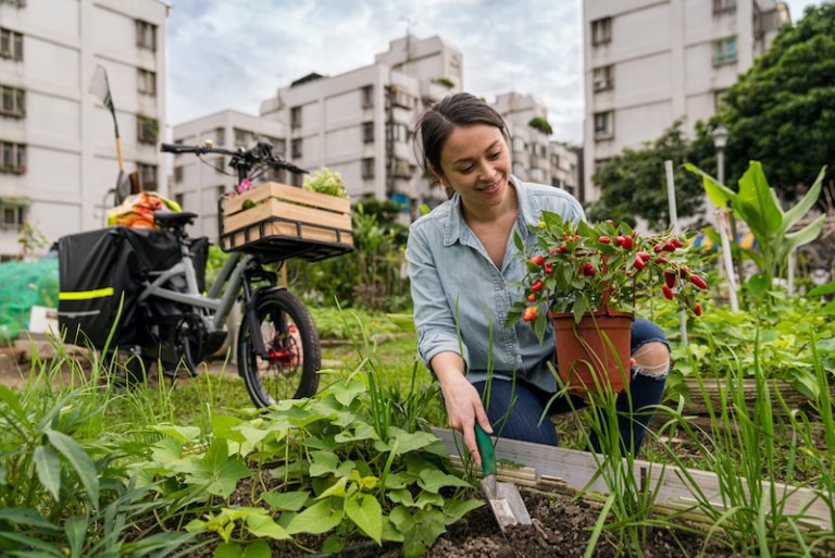 EBike Insurance at Lemonade, Explained Lemonade Blog