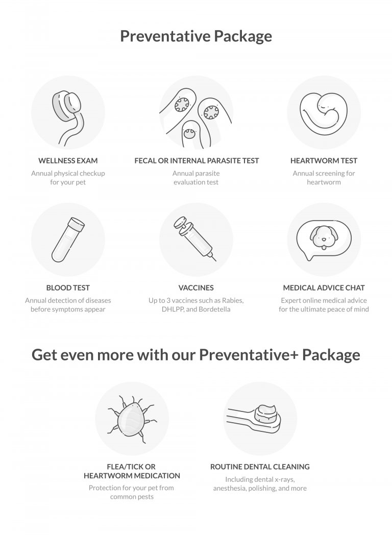 What Does Pet Health Insurance Not Cover? Lemonade Blog