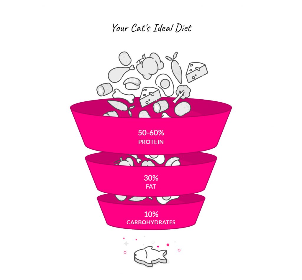 cat food recommendations by vets