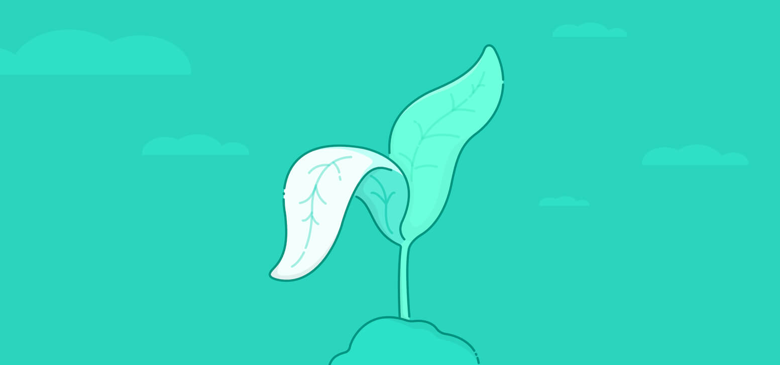 Introducing the Lemonade Crypto Climate Coalition