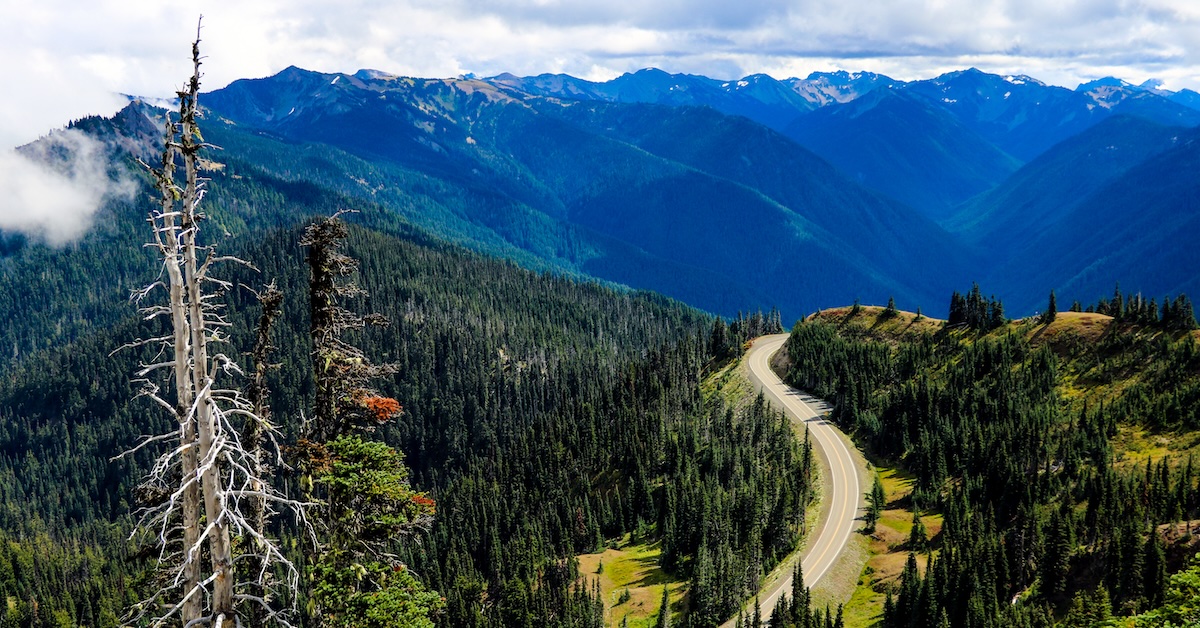 Washington State Car Insurance, Fast Quotes by Lemonade