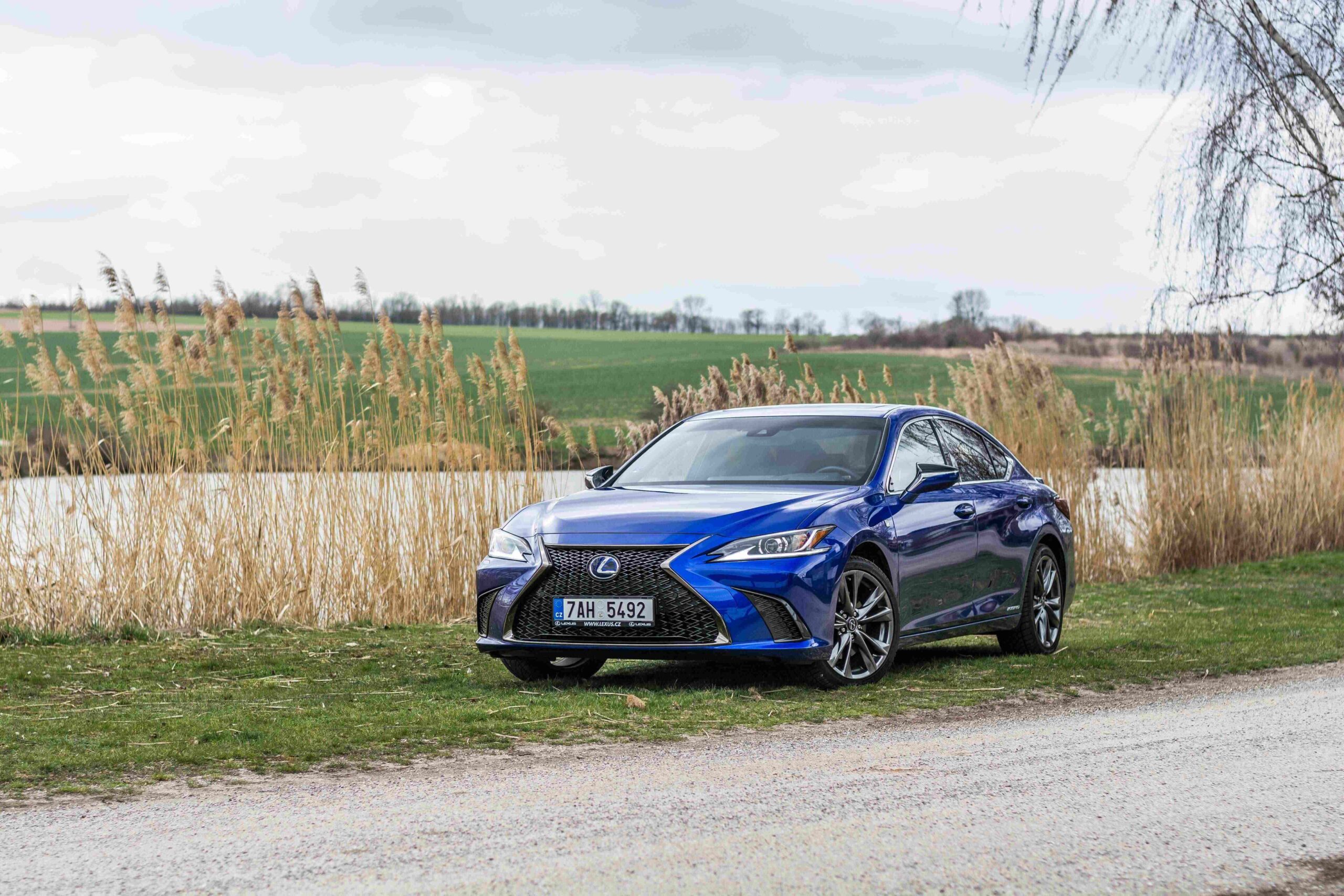 lexus ES insurance