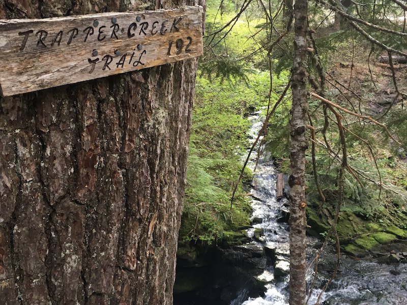 Best Hiking Trails in the US #2. Trapper Creek Wilderness Loop, Washington