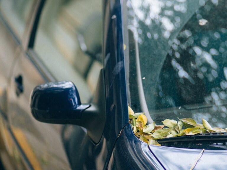 How Much Does It Cost To Replace A Car Door in 2024? Lemonade Car