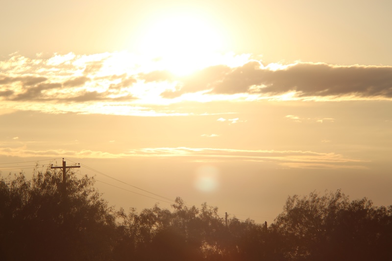 car-insurance-in-edinburg-by-lemonade