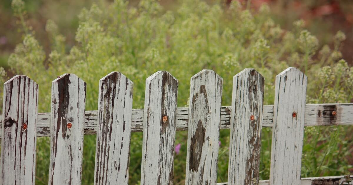 Does Homeowners Insurance Cover Fences? Lemonade Insurance