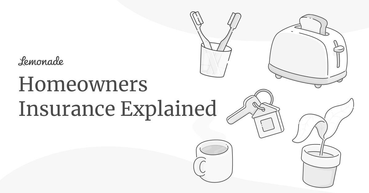 What you should know about your ho5 insurance policy by lemonade