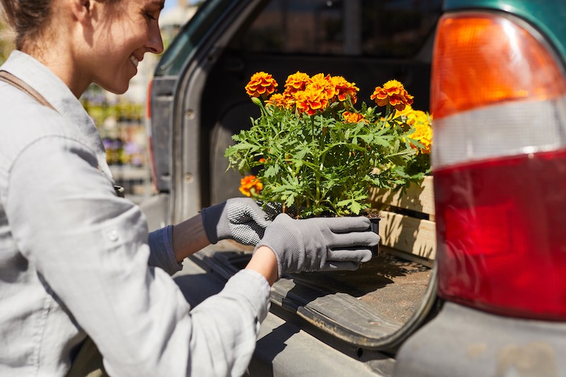 If you've got a green thumb, here's what you should know about moving with plants.