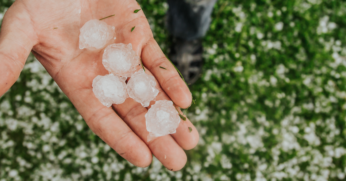 Does Homeowners Insurance Cover Hail Damage? • Lemonade