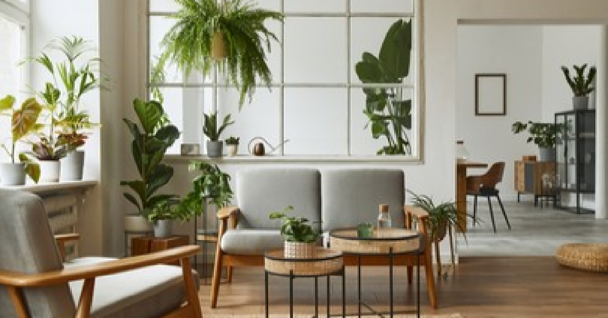 Fresh Look at 8 Eco Friendly Home Renovations Lemonade Homeowners