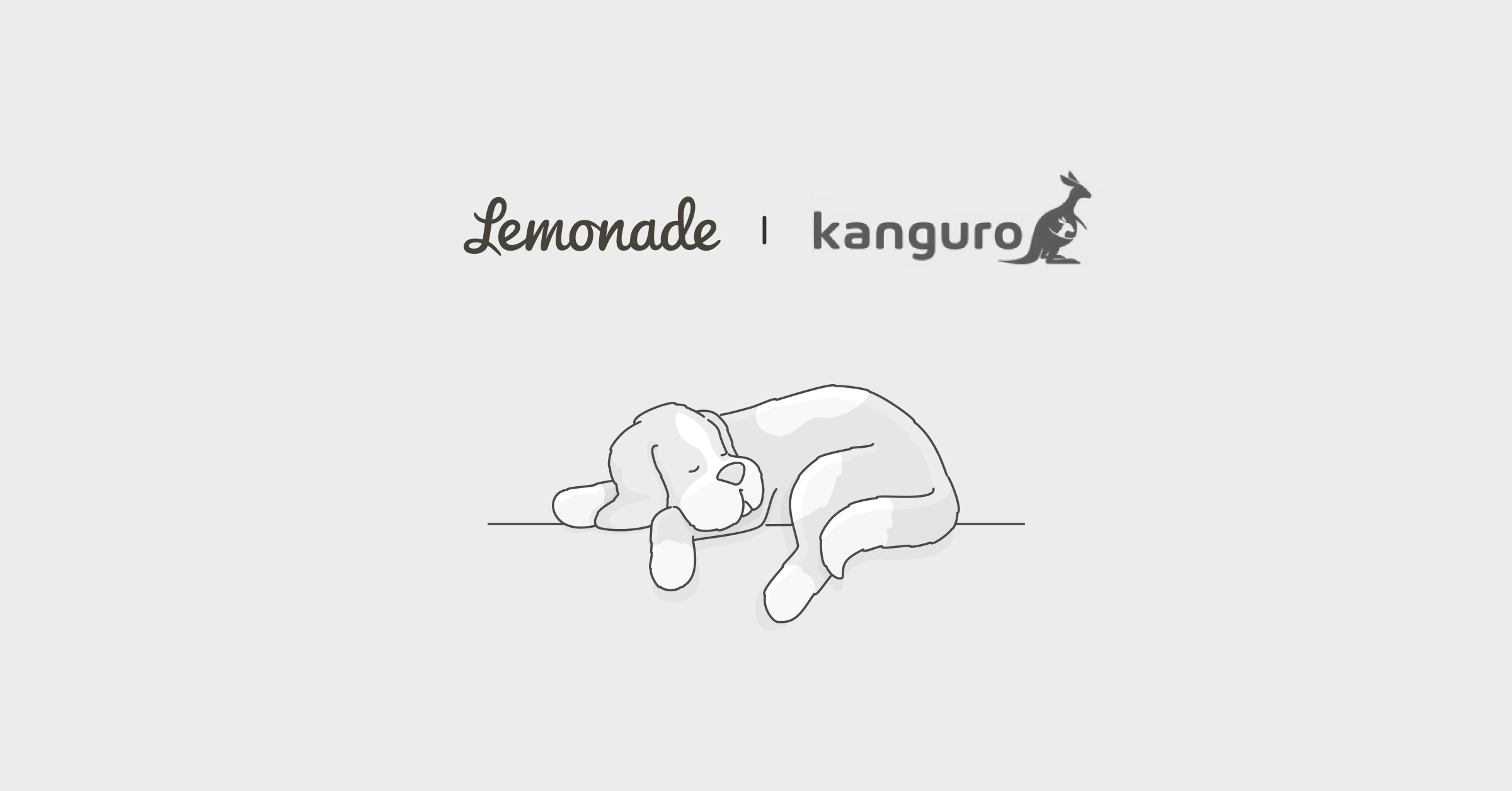 Lemonade vs Kanguro pet insurance comparison