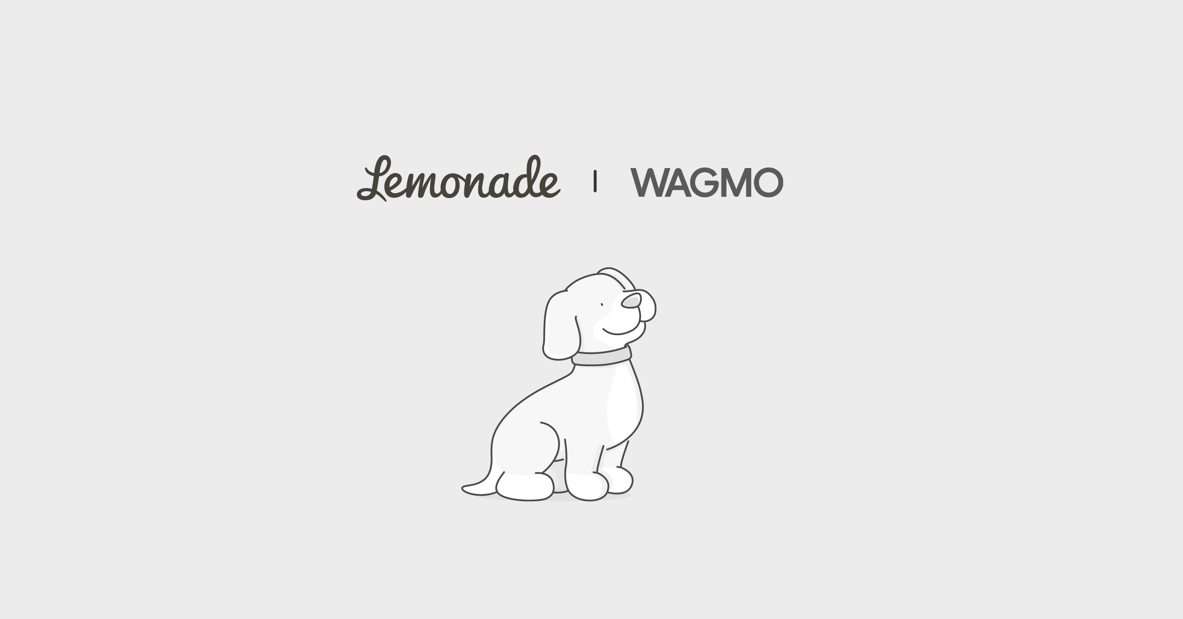 Lemonade vs Wagmo pet insurance comparison