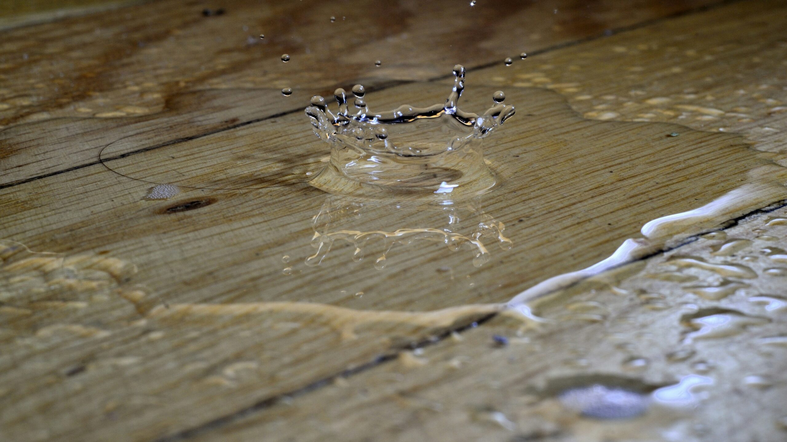 Apartment Flooded and No Renters Insurance? 7 Steps to Take Right Now
