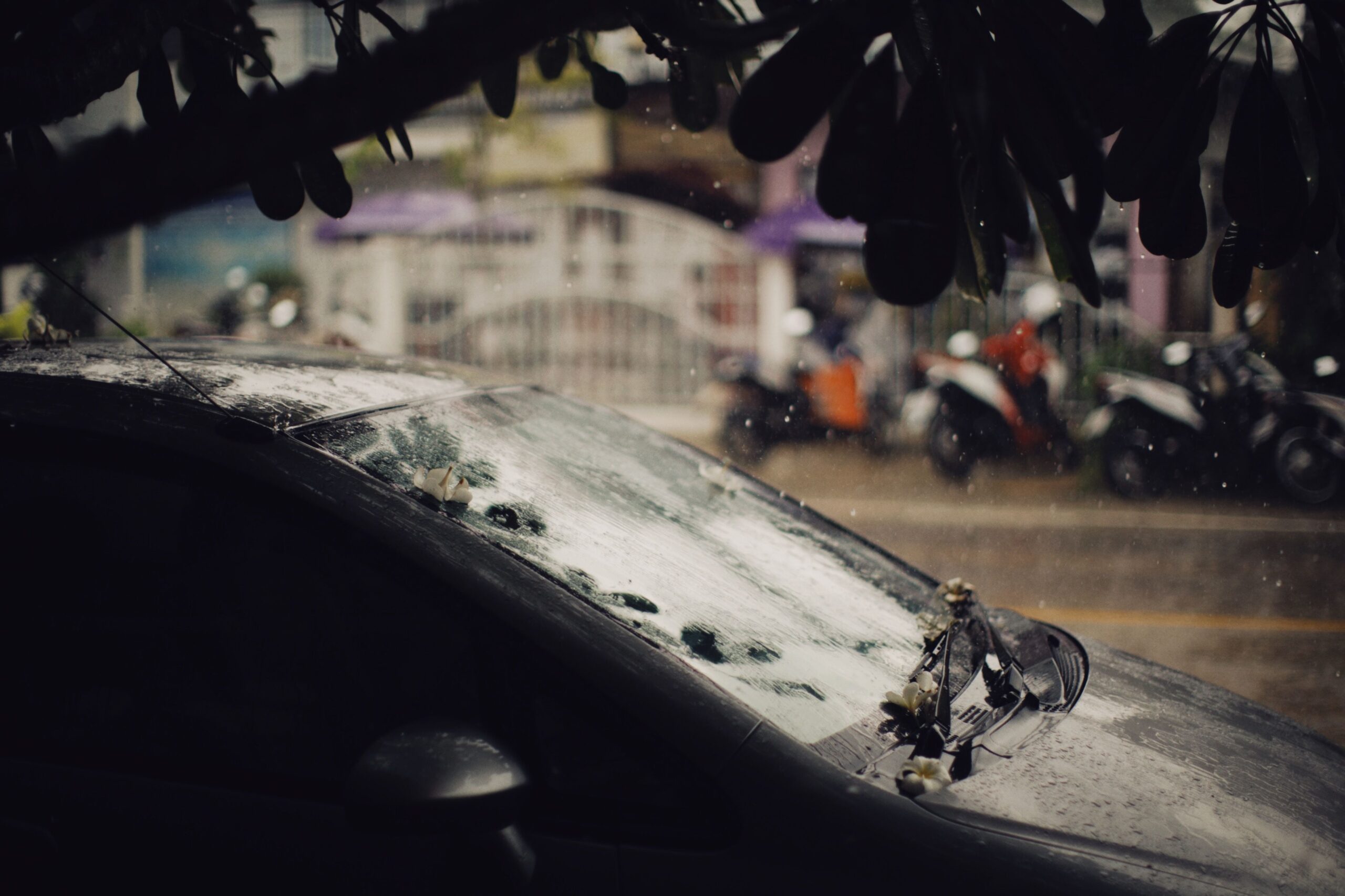 Items stolen from car and no renters insurance? 5 steps to take right now