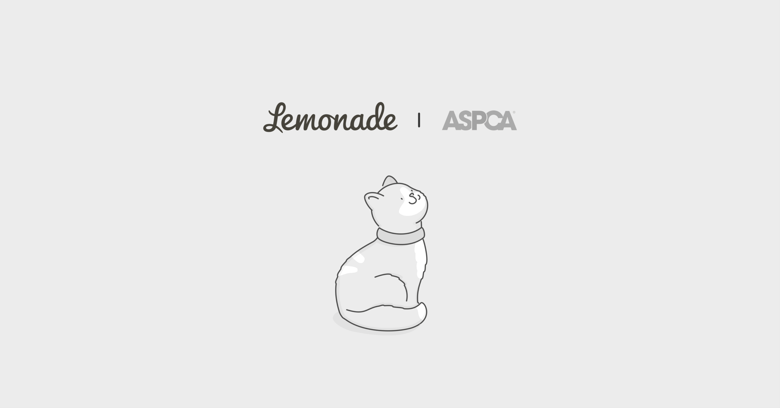 ASPCA pet insurance vs. Lemonade comparison