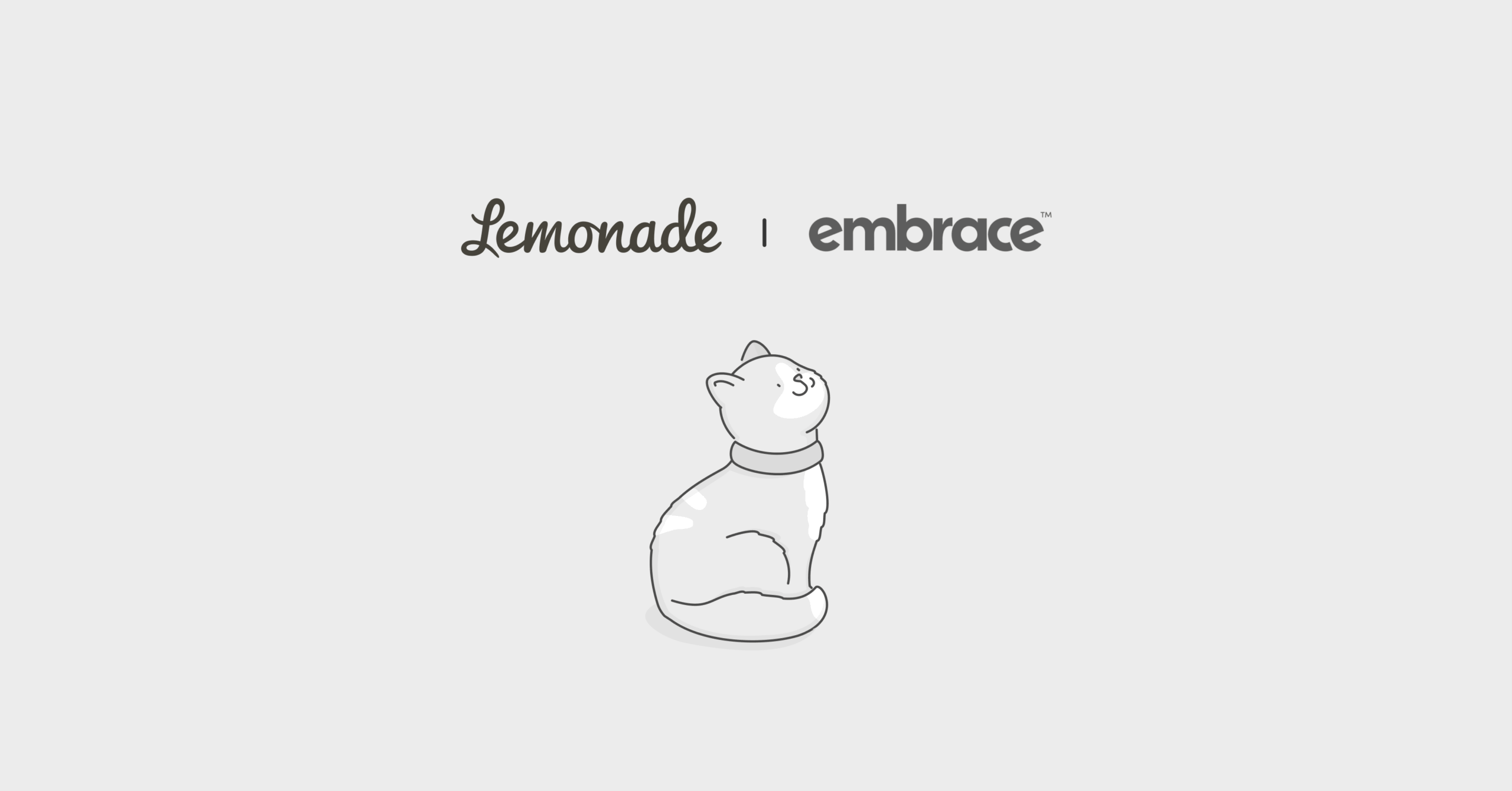 Embrace pet insurance vs. Lemonade Comparison