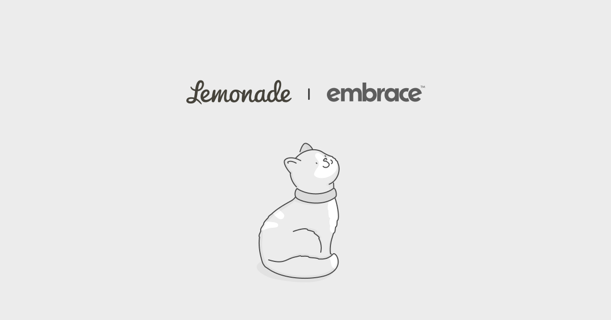 Compare Embrace Pet Insurance vs. Lemonade