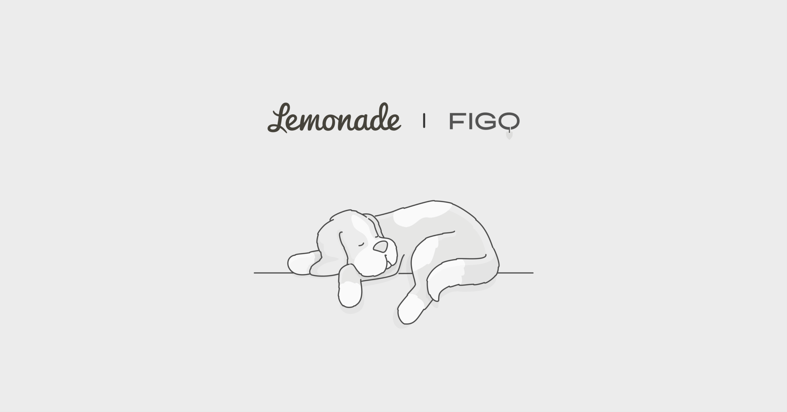 Figo pet insurance vs. Lemonade Comparison