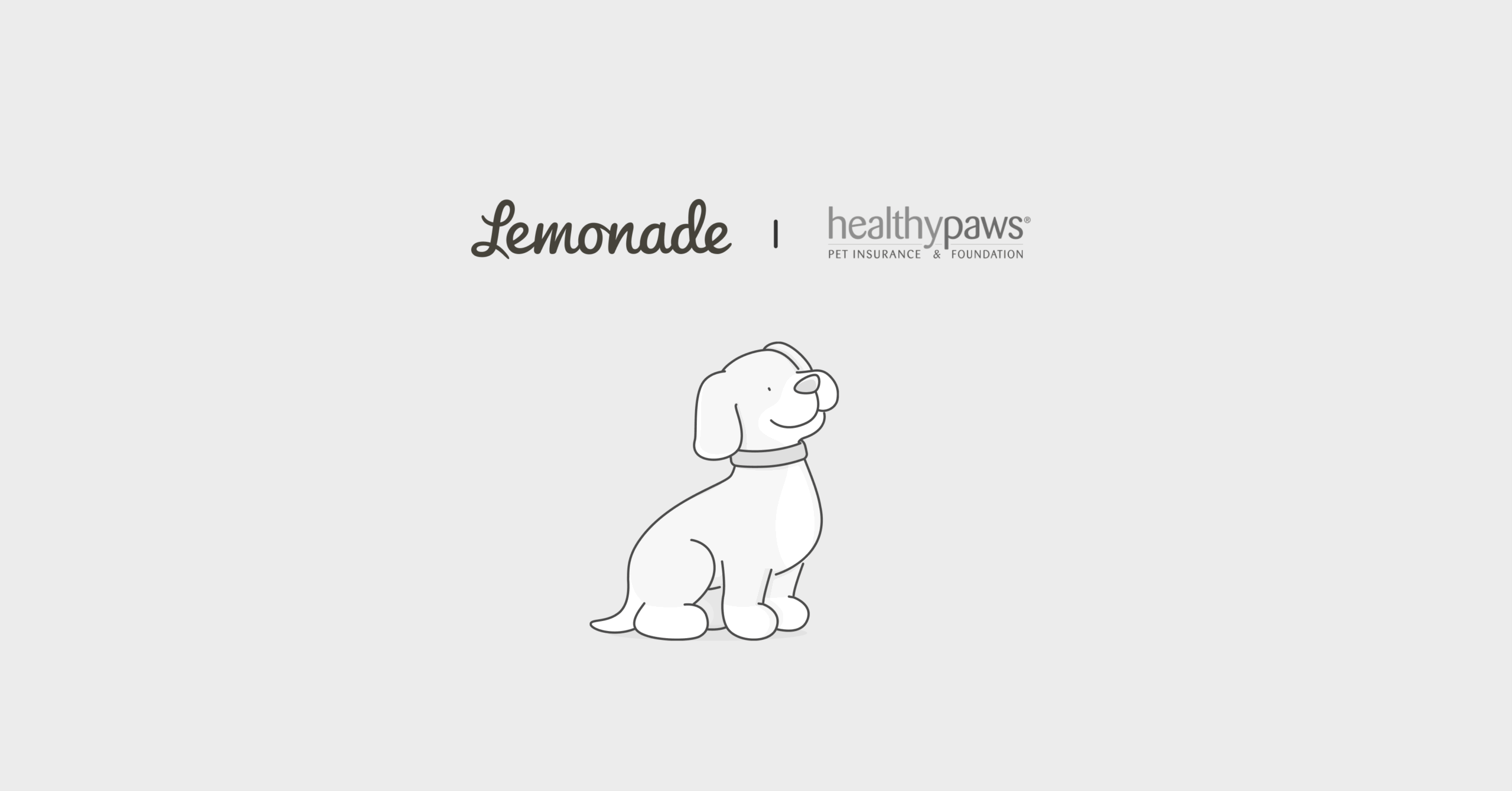 Healthy Paws pet insurance vs Lemonade comparison