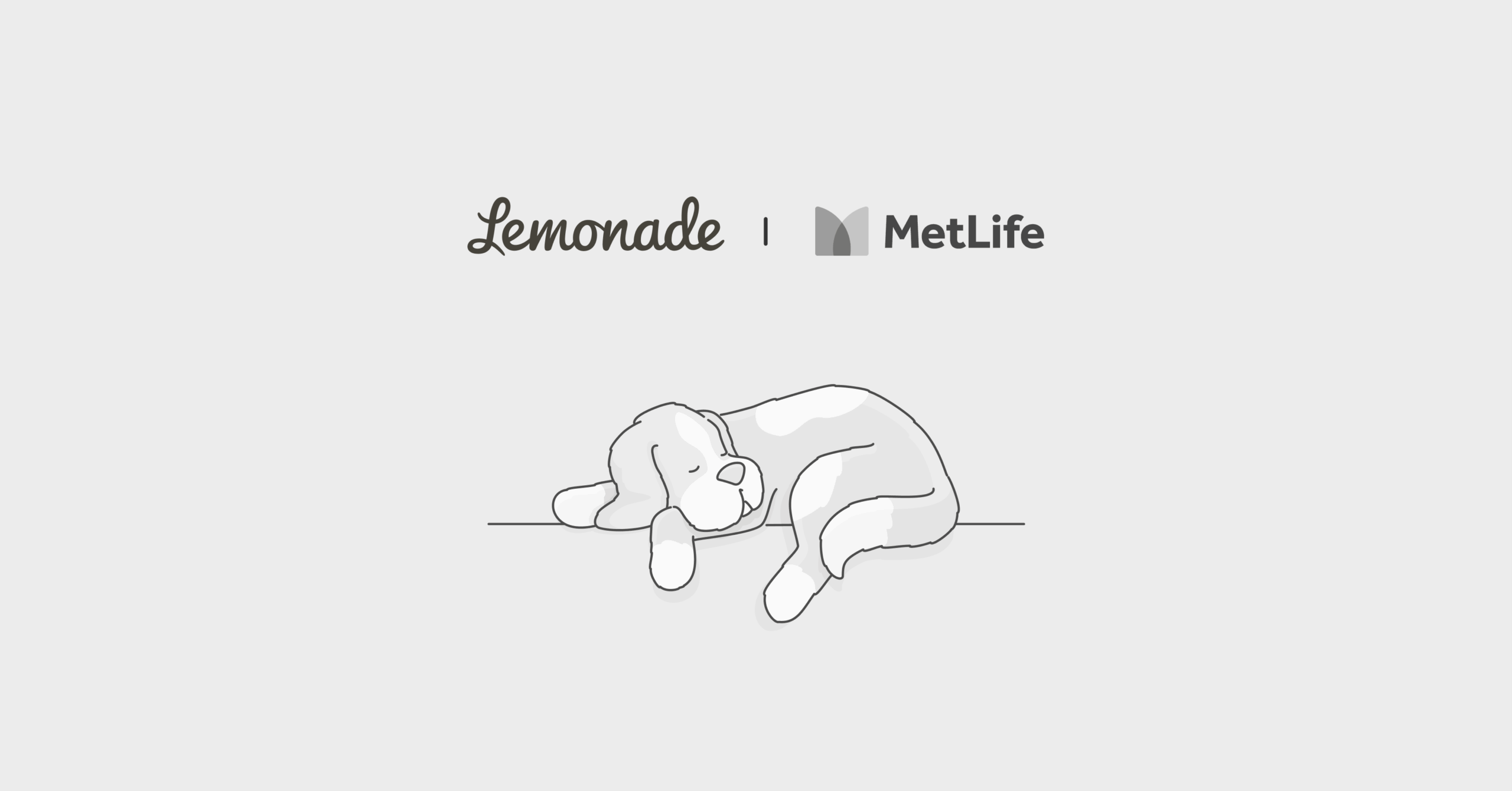 MetLife pet insurance vs. Lemonade Comparison