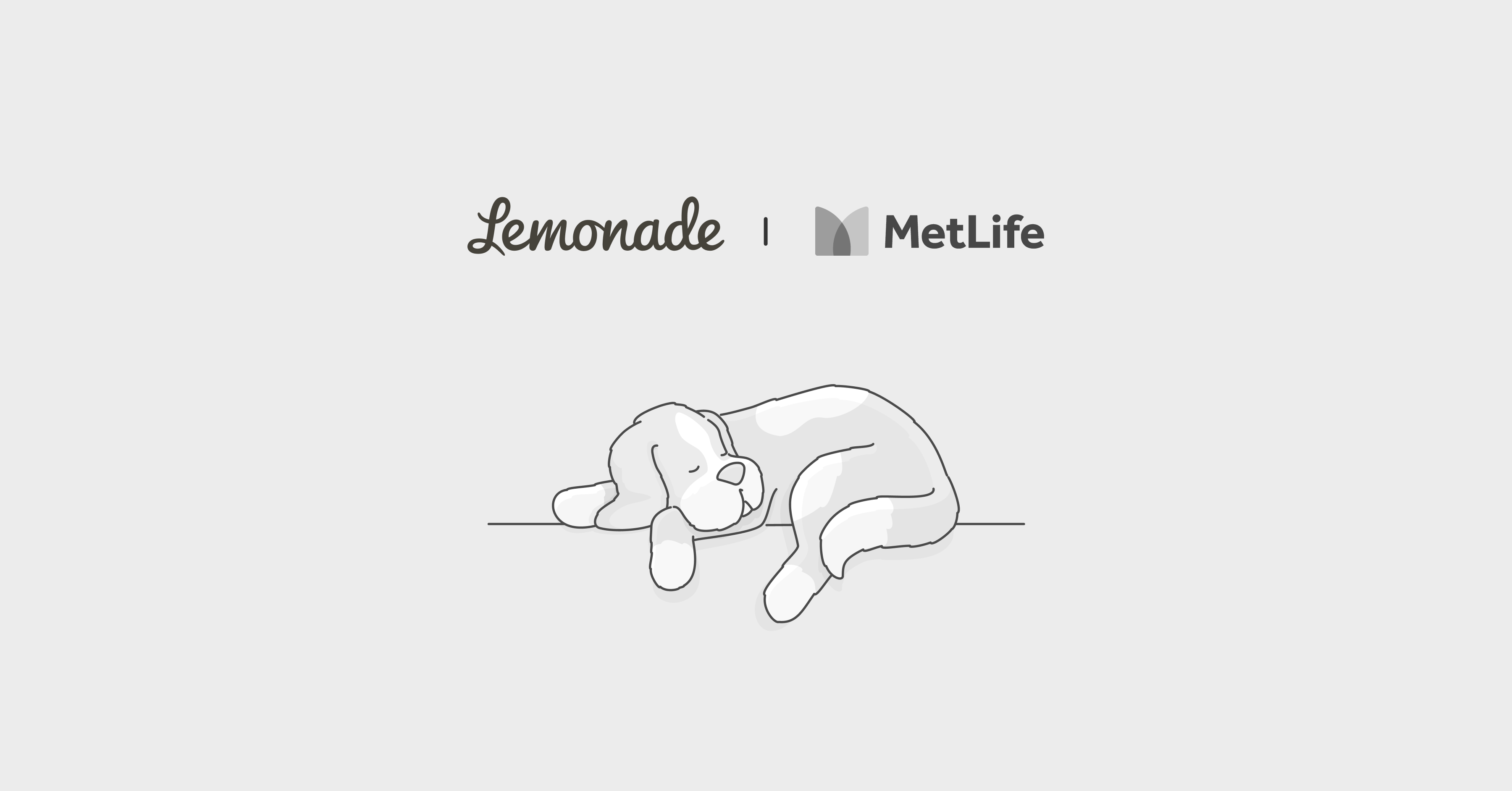 MetLife pet insurance vs. Lemonade Comparison