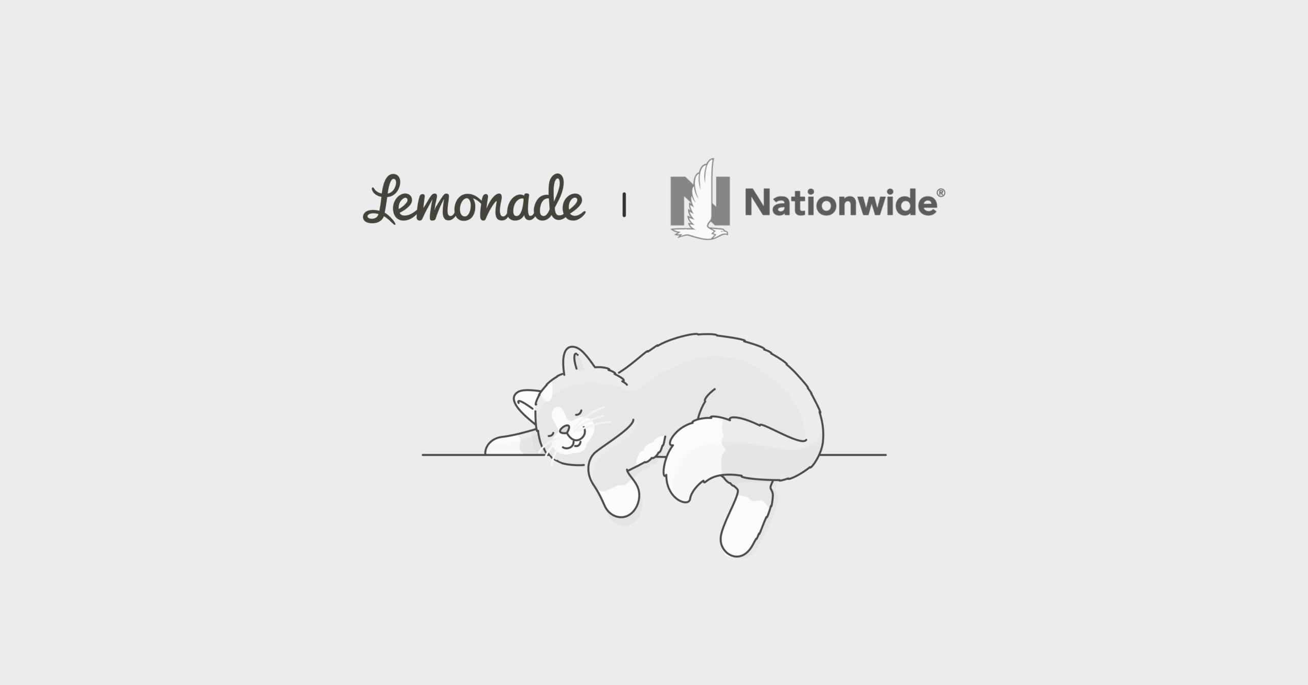Nationwide pet insurance vs. Lemonade Comparison