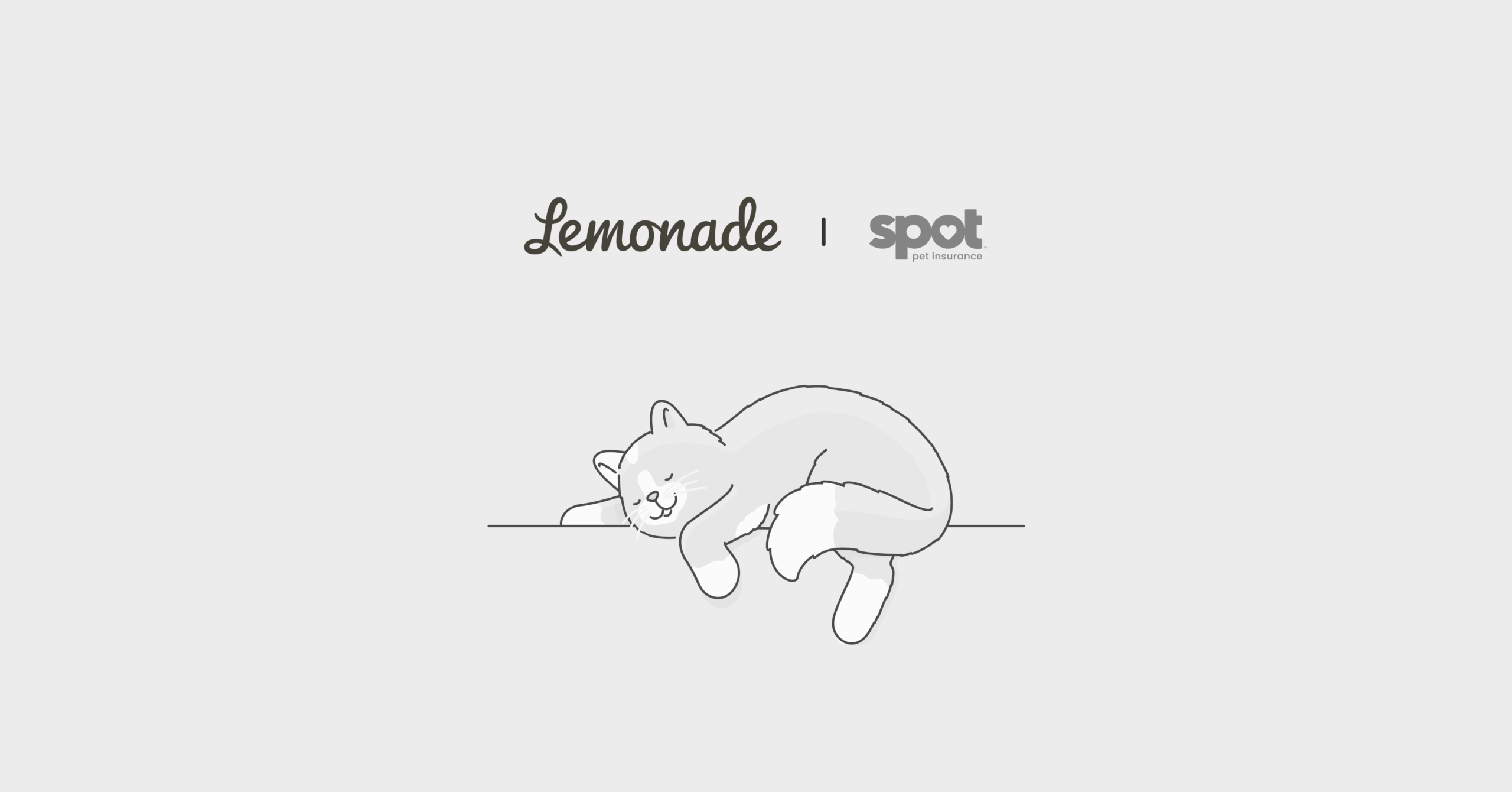 Spot Pet Insurance vs. Lemonade Comparison