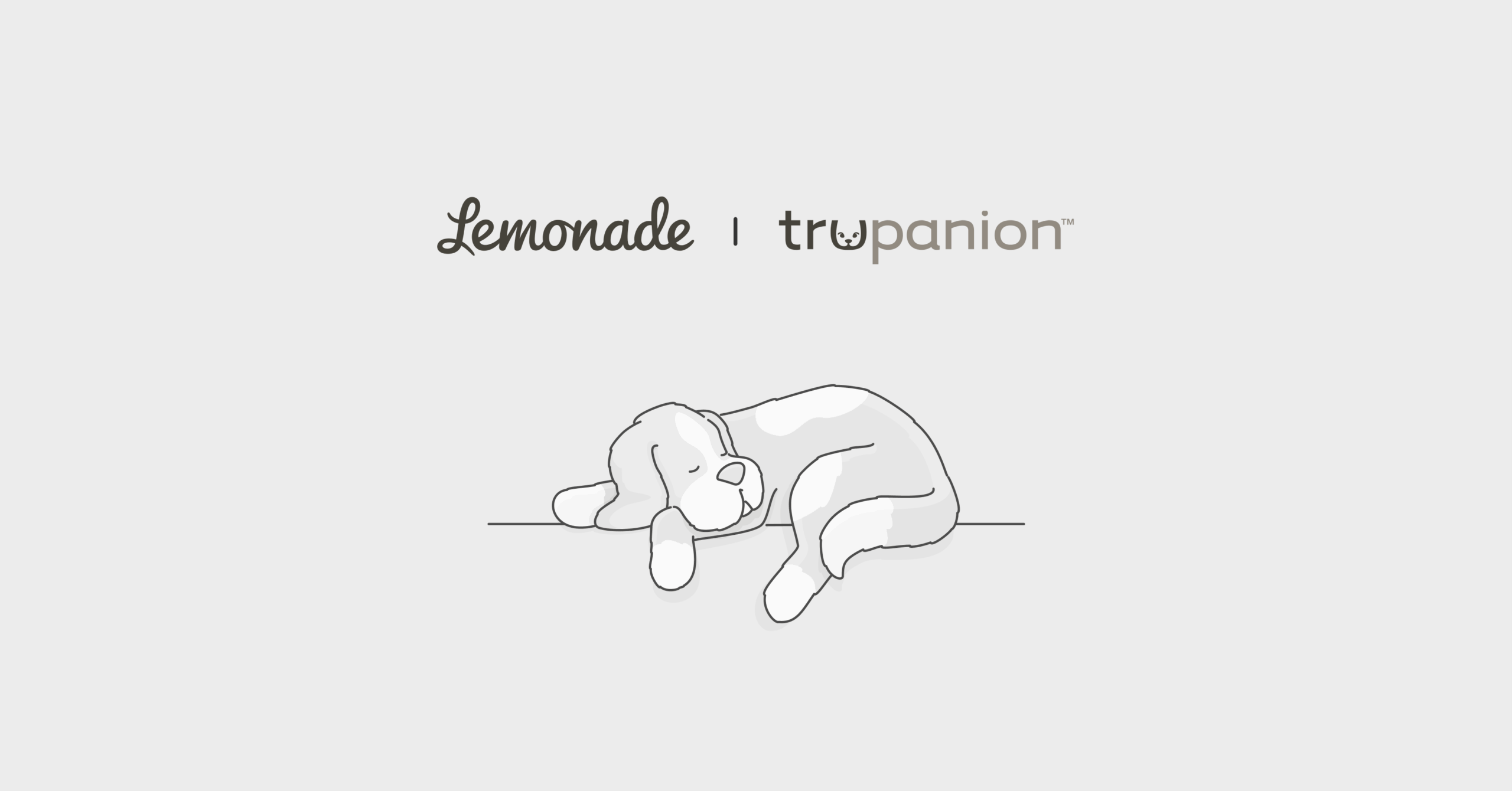 Trupanion pet insurance vs. Lemonade Comparison