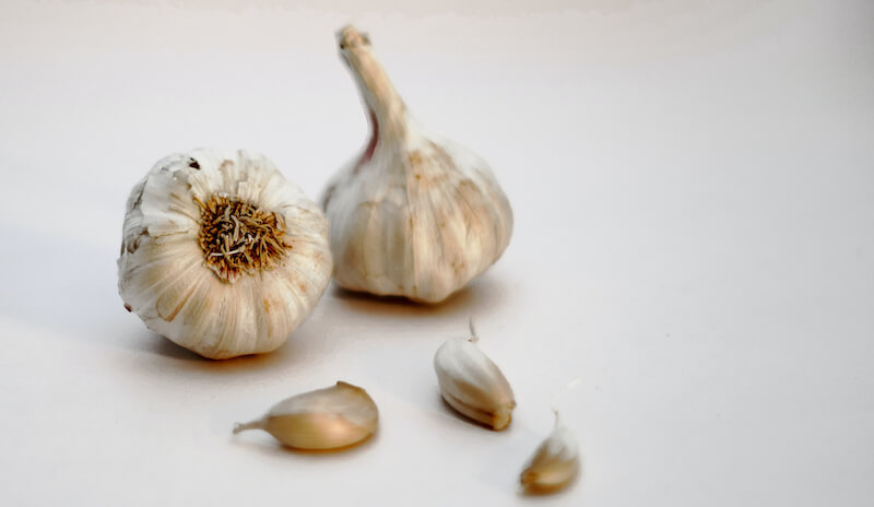 dog eats garlic onions