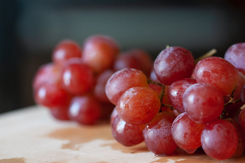 dog eats grapes