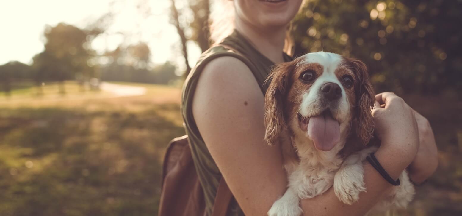 Pet Insurance in Ohio • Cover your pet with Lemonade