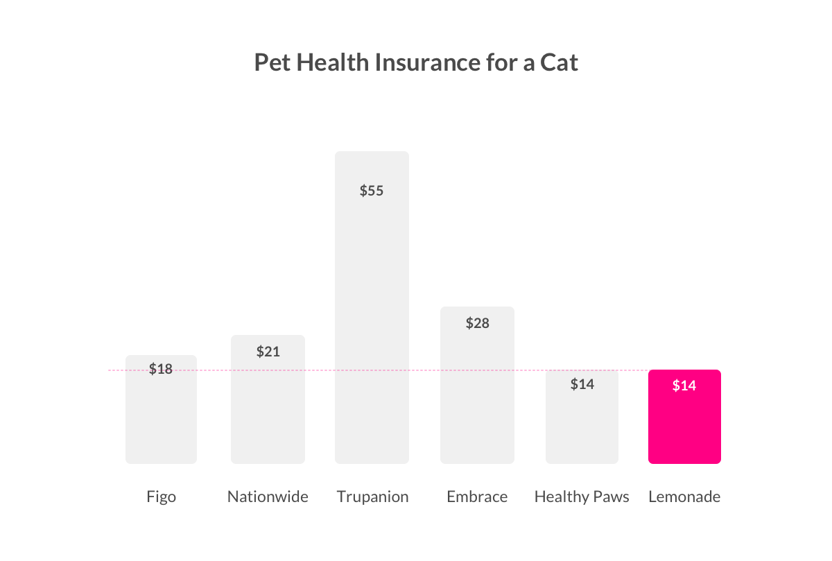 how much is cat insurance? 