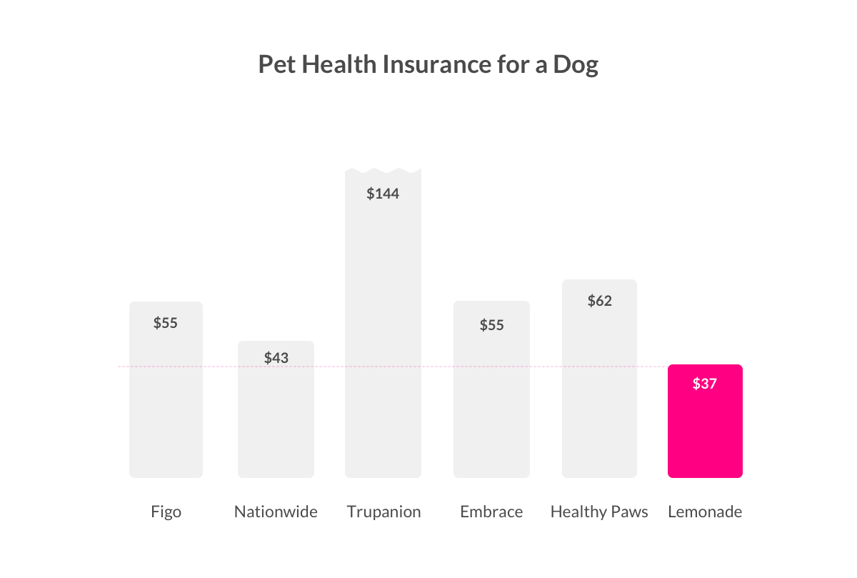 how much is dog insurance? Lemonade pet Insurance plan comparison.
