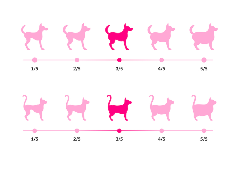 pet body types