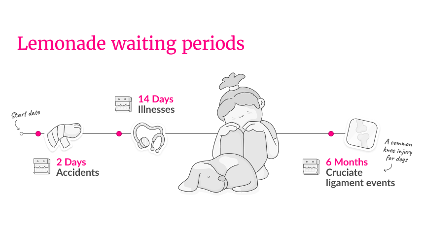 waiting periods for pet insurance