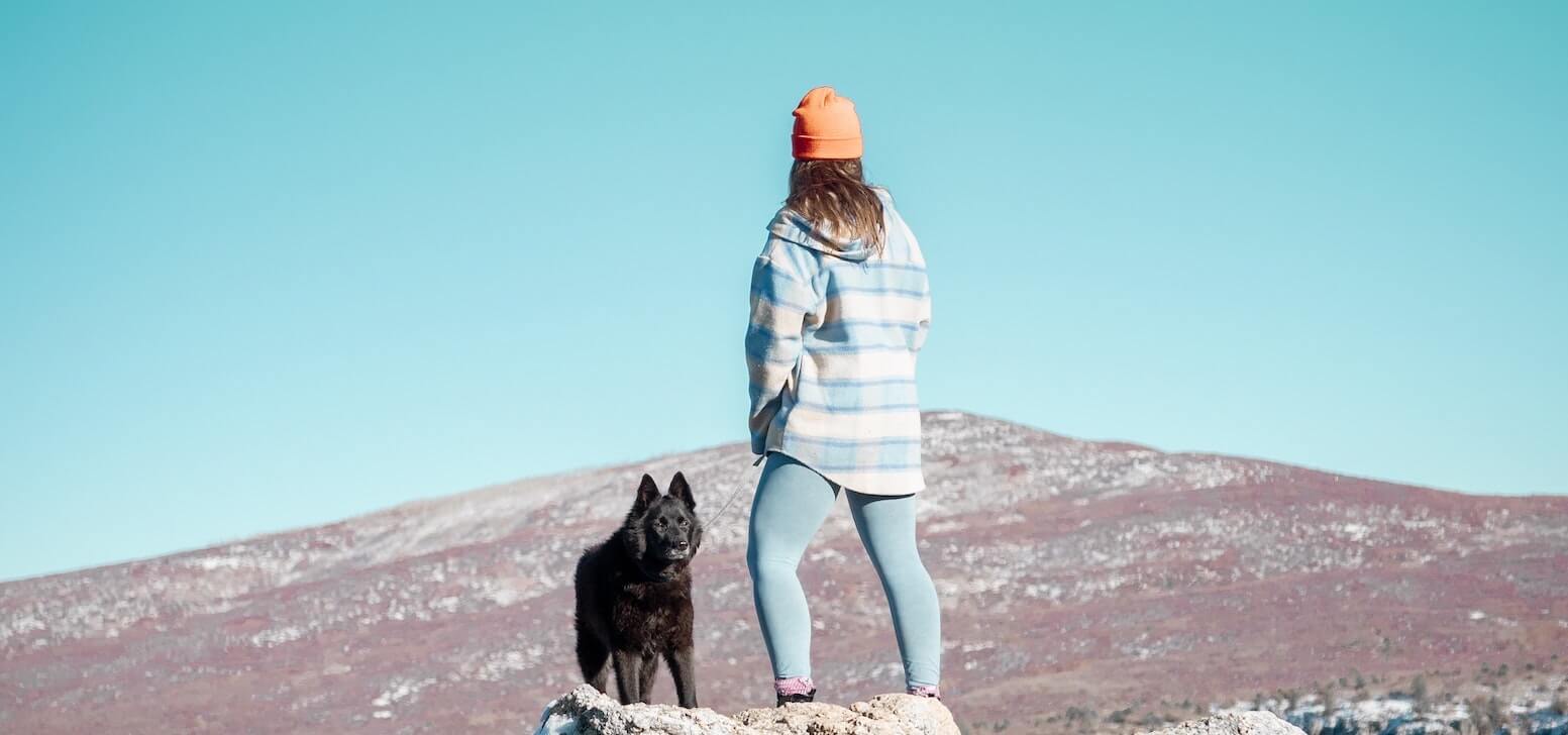 Pet Insurance in Colorado for Dogs & Cats • Lemonade