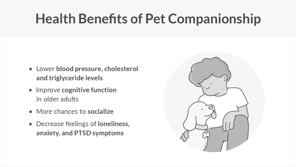 person petting dog showing health benefits of pet companionship