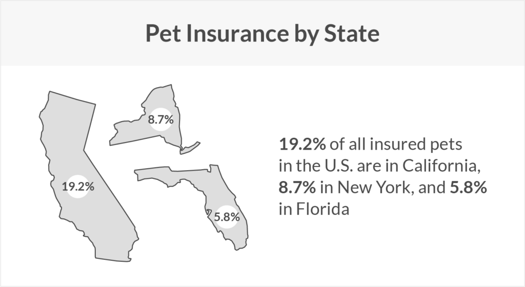 map of California, Florida and New York with the highest pet insurance