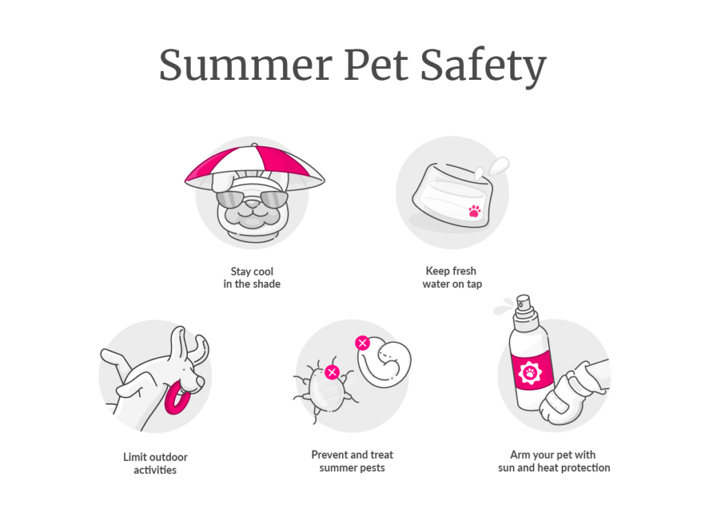 summer pet safety tips