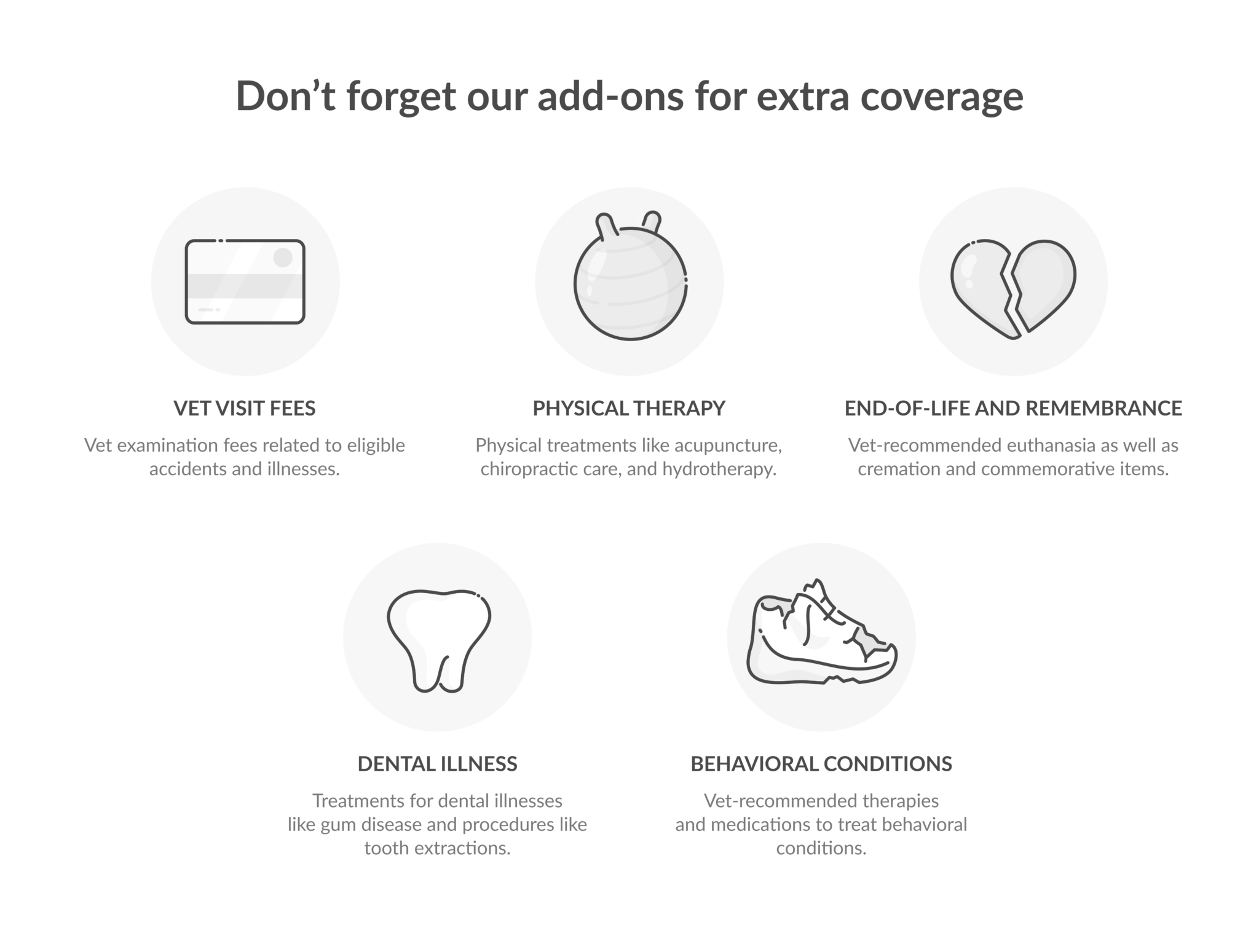 How Much Does Pet Insurance Cost? Lemonade Guide